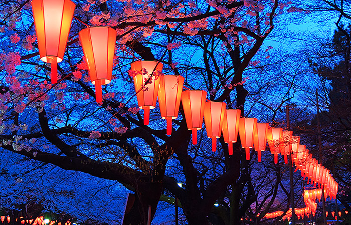 Japanese Lanterns