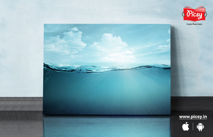 Underwater Photography Canvas