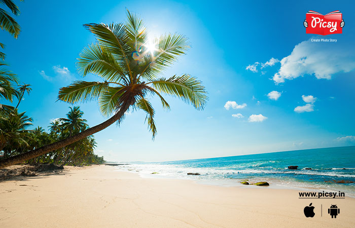 Beach Photography
