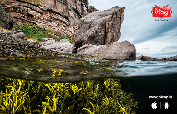 Creative Underwater Photos