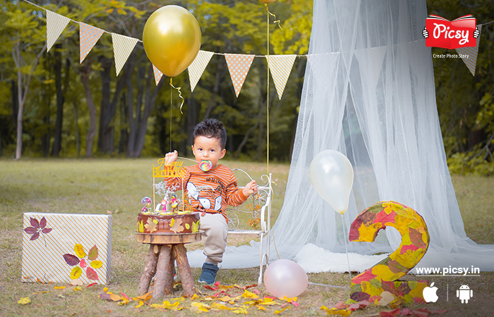 Outdoor Birthday party decoration