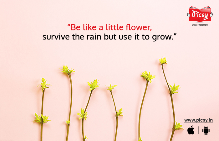 Quotes About Happiness