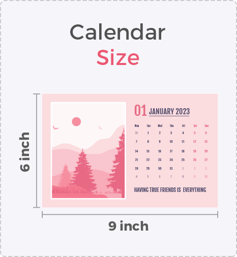 Contains 13photos