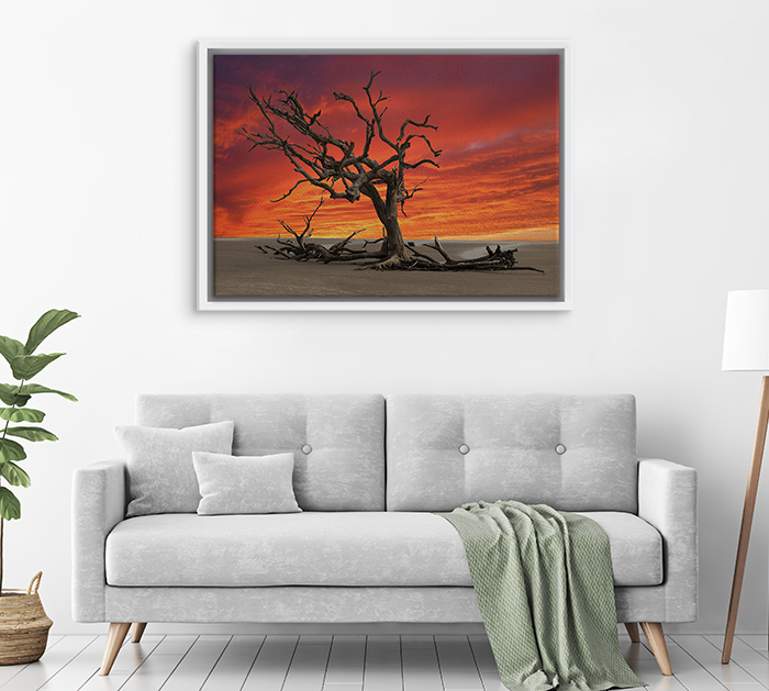 About Canvas Floating Frames