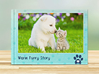 Pure Dog Love Photo Books